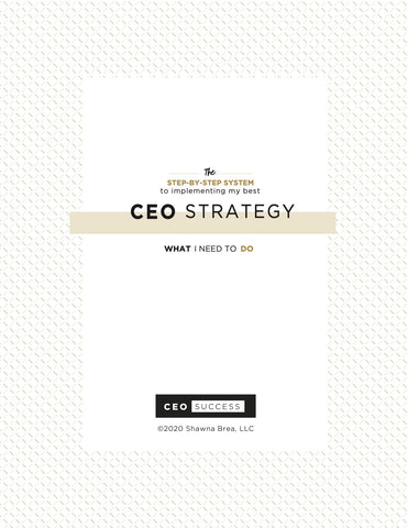 CEO SUCCESS Strategy Guide
