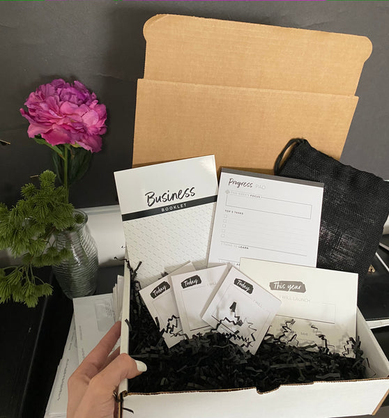 Ceo Starter Kit Free Giveaway The Launch Planner